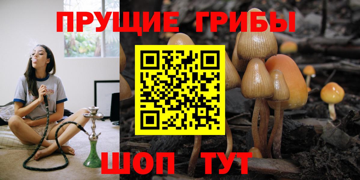 закладка  Псилоцибиновые грибы Psilocybine cubensis  Вход с VPN  Богородицк 